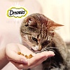 Дримис лакомство для кошек, подушечки с лососем, 140г, DREAMIES