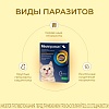 МИЛПРАЗОН препарат антигельминтный для котят и кошек весом до 2кг, таблетки со вкусом мяса, 2 таблетки, KRKA Milprazon
