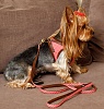Шлейка-жилетка для собак НАПОЛЕОНОВСКИЙ АМПИР, размер 2S, обхват груди 25-33см, розовая, MZSH-2S.WG/PK, EARTH PET