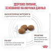 Роял Канин ГЕПАТИК лечебный сухой корм для кошек,  500г, ROYAL CANIN Hepatic