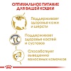 Роял Канин СИБИРСКАЯ сухой корм для кошек Сибирской породы,  400г, ROYAL CANIN Siberian