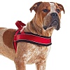 Шлейка для собак норвежская ХАНТЕР Рэйсинг размер S, 20мм/42-53см, красная/черная, нейлон/флис, 46388, HUNTER NORWEGIAN RACING