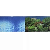 Фон для Аквариума двухсторонний Синее море/Растительный пейзаж 50х100см, PR-002163, PRIME