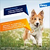 АДВОКАТ капли на холку от блох, чесоточных клещей и круглых гельминтов для собак от 1 до 4кг, 1 пипетка, ELANCO Advocate