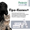 ПРО-КОЛИН препарат для поддержания и восстановления нормальной микрофлоры кишечника, шприц 60 мл, PROTEXIN PRO-KOLIN+