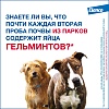 МИЛЬБЕМАКС препарат антигельминтный для крупных собак весом 5-25кг, 2 таблетки, ELANCO Milbemax