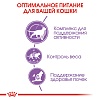 Роял Канин СТЕРИЛАЙЗД 7+  сухой корм для стерилизованных кошек старше 7 лет, 1,5кг, ROYAL CANIN Sterilised 7+