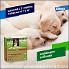 ДРОНТАЛ ПЛЮС XL таблетки от гельминтов и простейших, для крупных собак, со вкусом мяса,1 таблетка на 35кг, 2шт в упаковке, ELANCO Drontal Plus XL