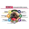 Игрушка для собак Конг КЛАССИК, размер S, 7см, резина, T3E, KONG Classic