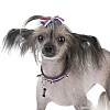 Ошейник для маленькой собачки ПАНКИ, ширина 10мм, длина 20см, синий/полоски, экокожа, GB653-20, FOR PETS ONLY Punk