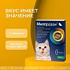 МИЛПРАЗОН препарат антигельминтный для котят и кошек весом до 2кг, таблетки со вкусом мяса, 2 таблетки, KRKA Milprazon