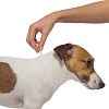 АДВАНТЕЙДЖ капли на холку от блох для собак от 4 до 10кг, 4 пипетки, ELANCO Advantage