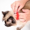 Биафар ошейник для кошек от блох и клещей, красный, 35см, BEAPHAR Flea & Tick Collar for Cat 