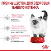 Роял Канин КИТТЕН сухой корм для котят до 12 месяцев, 300г+150г в подарок  ROYAL CANIN Kitten