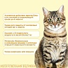 ФИПРИСТ КОМБО препарат от клещей, блох, вшей, власоедов для кошек и хорьков, 1 пипетка, KRKA Fiprist Combo