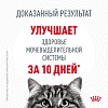 Роял Канин УРИНАРИ КЕА сухой корм для кошек для профилактики мочекаменной болезни,  400г, ROYAL CANIN Urinary Care 