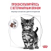 Роял Канин ГАСТРОИНТЕСТИНАЛ КИТТЕН лечебный сухой корм для котят,  400г, ROYAL CANIN Gastrointestinal Kitten