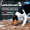 МИЛЬБЕМАКС препарат антигельминтный для крупных собак весом 5-25кг, 2 таблетки, ELANCO Milbemax