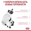 Роял Канин МАЗЕР ЭНД БЭБИКЕТ сухой корм для котят в возрасте до 4 месяцев и беременных или кормящих кошек,  400г, ROYAL CANIN Mother and Babycat 