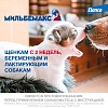 МИЛЬБЕМАКС препарат антигельминтный для щенков и маленьких собак (до 5кг), 2 таблетки, ELANCO Milbemax