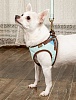 Шлейка-жилетка для собак НАПОЛЕОНОВСКИЙ АМПИР, размер S, обхват груди 33-40см, ментол, MZSH-S.WG/MT, EARTH PET