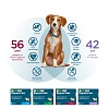 Оквет ЭКСПРЕССТАБС препарат от блох, клещей, вшей и гельминтов для собак весом  5 - 15кг, 3 таблетки, АВЗ OkVet ExpressTabs