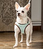 Шлейка-жилетка для собак НАПОЛЕОНОВСКИЙ АМПИР, размер 3S, обхват груди 20-25см, ментол, MZSH-3S.WG/MT, EARTH PET