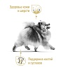 Роял Канин ПОМЕРАНСКИЙ ШПИЦ сухой корм для собак породы Померанский  шпиц, 1,5 кг, ROYAL CANIN Pomeranian Adult