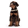 Ошейник для собак Хантер Варио Бэйсик Алю-Стронг, размер M, 15мм/30-45см, бежевый, нейлон, 46668, HUNTER Vario Basic Alu-Strong
