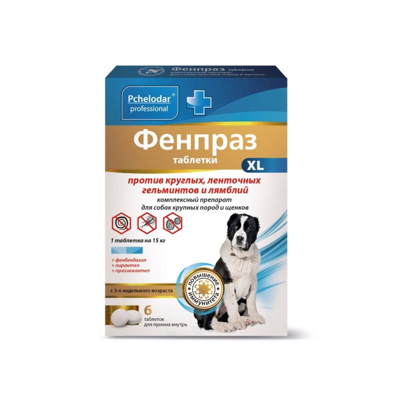 【千葉犬】インフェルノX 5BOX 千葉犬】インフェルノX 5BOX 千葉犬】インフェルノX 5BOX M2