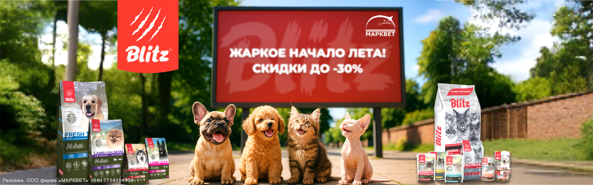 BLITZ выборочно до 30%__06.2025