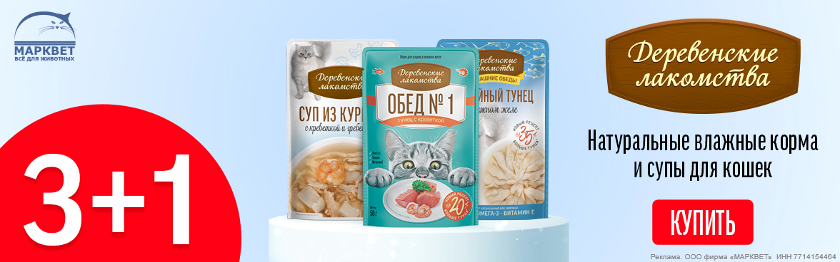 ДЕРЕВЕНСКИЕ ЛАКОМСТВА паучи для кошек 3+1__12.2025