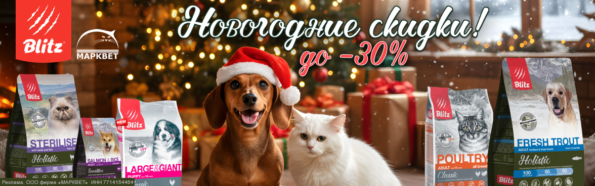 BLITZ выборочно до 30%__12.2025