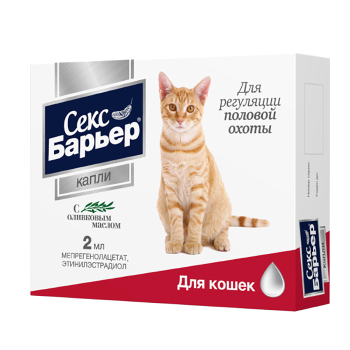 Толық метражды гей порно онлайн