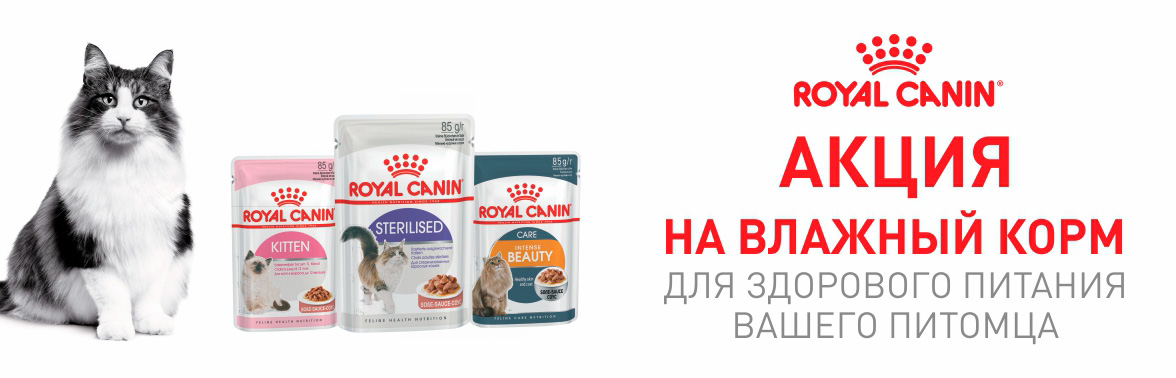 ROYAL CANIN акция на влажный корм