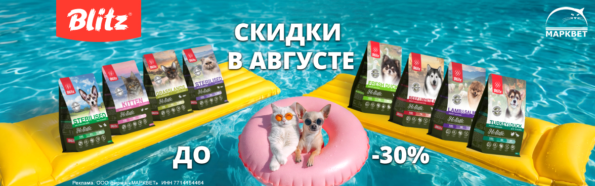 BLITZ выборочно до 30%__08.2026
