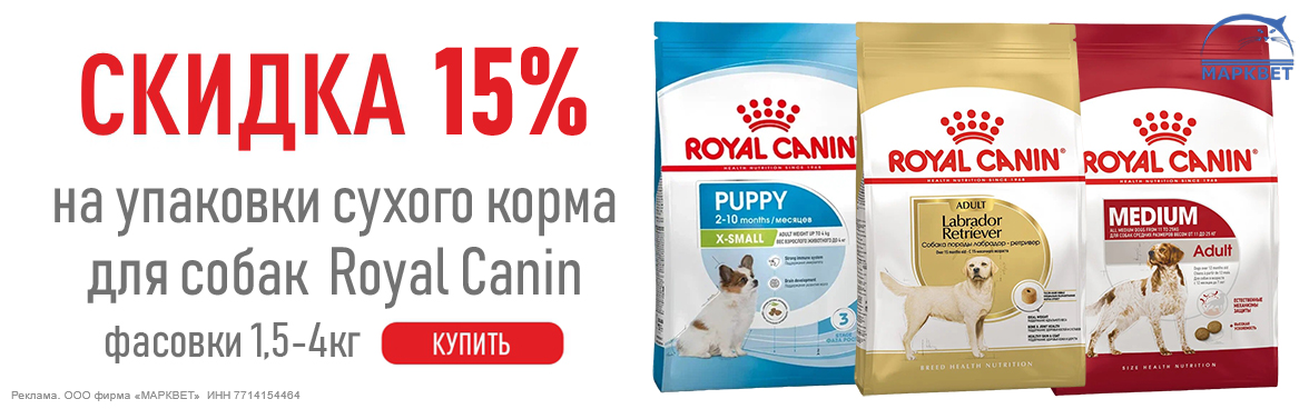 ROYAL CANIN собаки 3кг -15%__11/2023