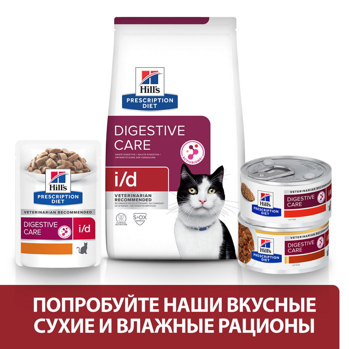 Digestive care hills cat shop