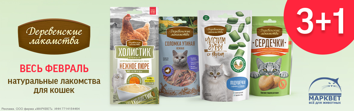 ДЕРЕВЕНСКИЕ ЛАКОМСТВА лакомства для кошек 3+1__02.2026
