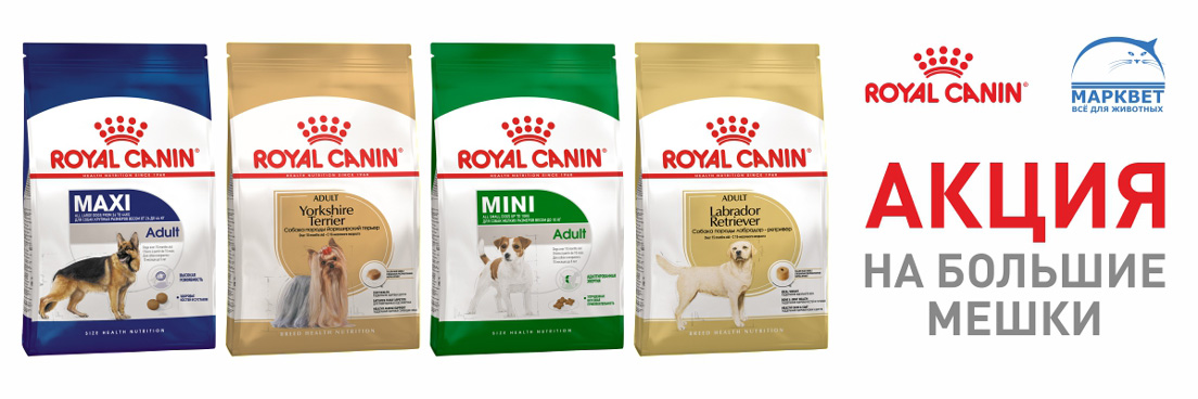 Акция Royal Canin на большие мешки для взрослых собак