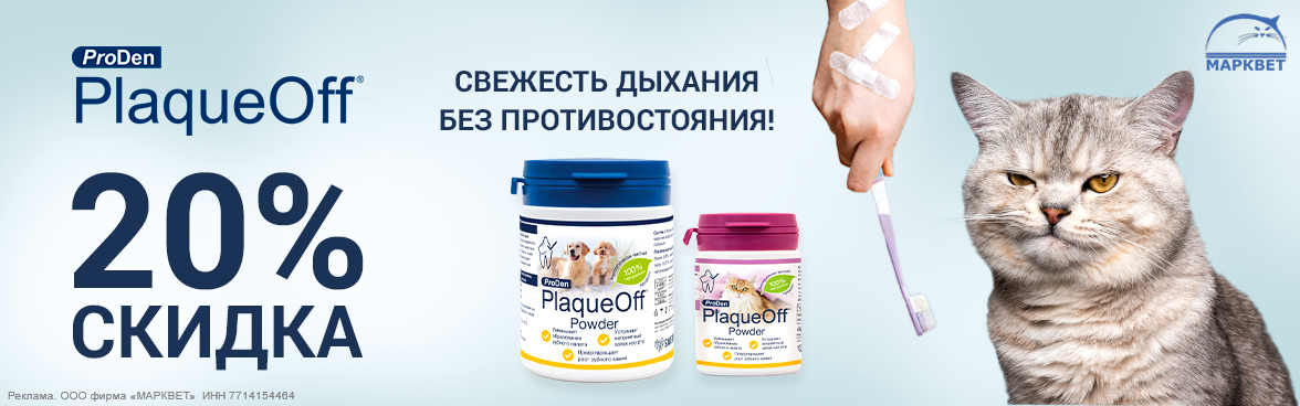 PLAQUEOFF - 20%__06.2025