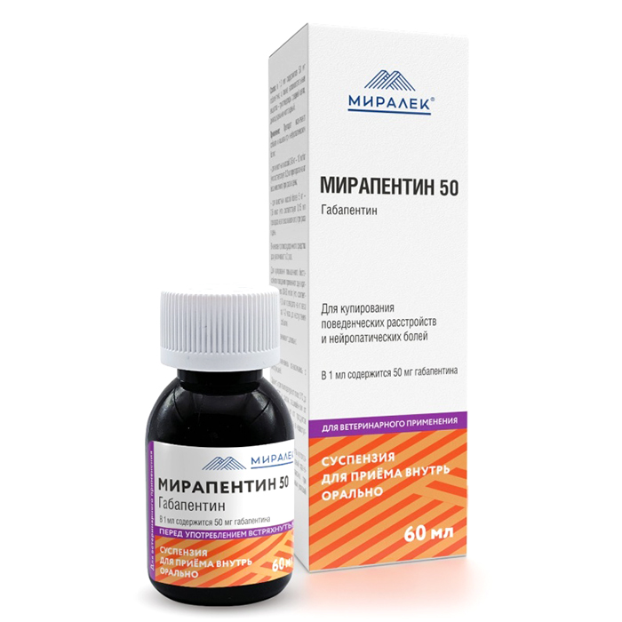 Егде жастағы әйелдер мен қара еркектермен порно Жасырын камерамен әуесқой секс көру