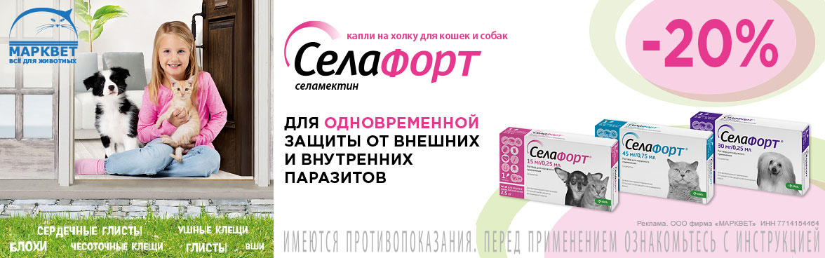 СЕЛАФОРТ - 20%__05.2025