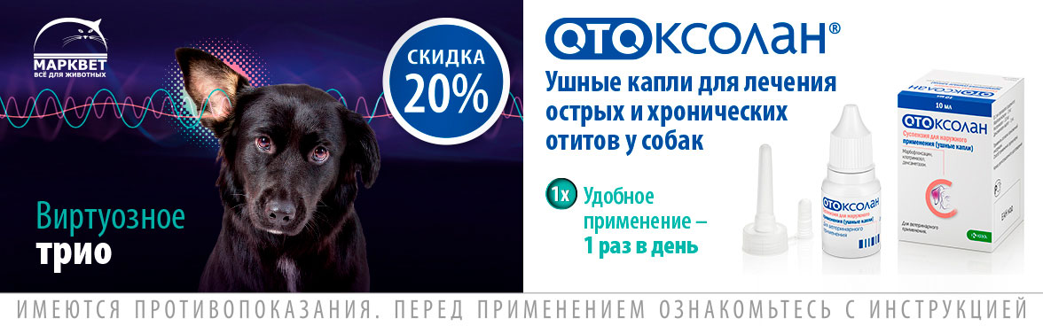 Ауризон Ушные Капли Купить В Москве