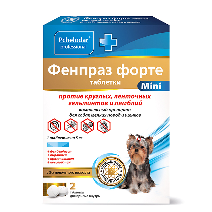 【千葉犬】インフェルノX 5BOX 千葉犬】インフェルノX 5BOX 千葉犬】インフェルノX 5BOX M2