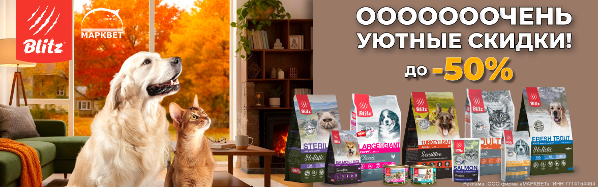 BLITZ выборочно до 50%__11.2025