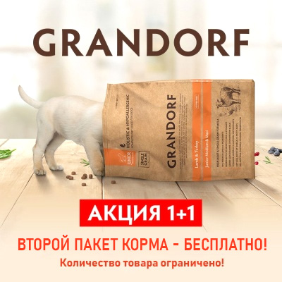 GRANDORF - акция 1+1 на корма для собак!