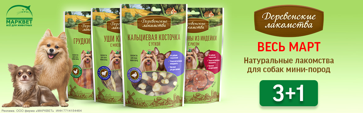 ДЕРЕВЕНСКИЕ ЛАКОМСТВА мини 3+1__03.2026