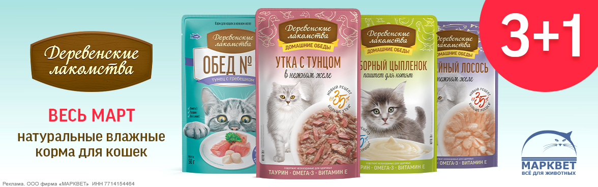 ДЕРЕВЕНСКИЕ ЛАКОМСТВА паучи 3+1__03.2026