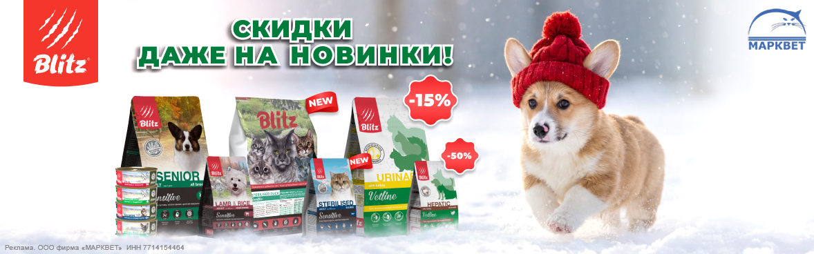 BLITZ выборочно до 50%__02.2026